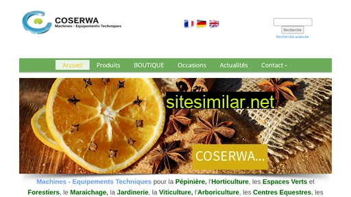 coserwa.com alternative sites