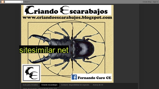 criandoescarabajos.blogspot.com alternative sites