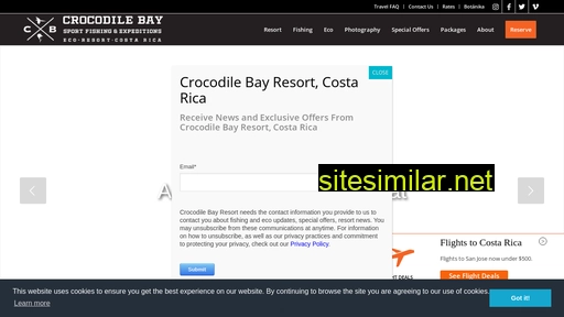 crocodilebay.com alternative sites