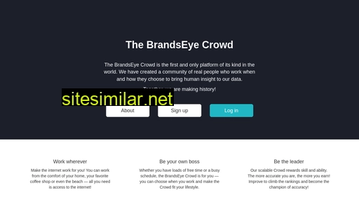 crowd2.brandseye.com alternative sites