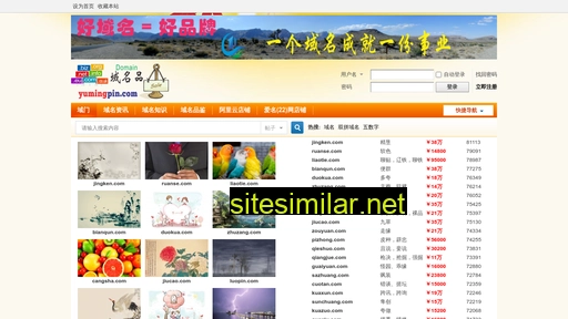 cuishe.com alternative sites