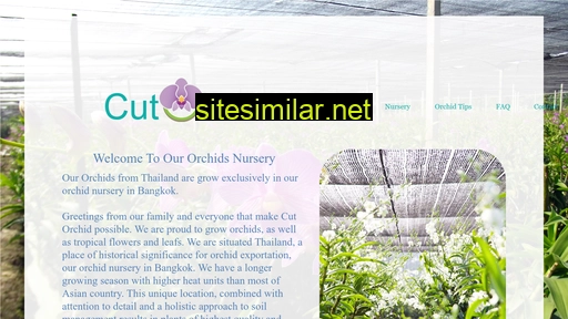Cutorchid similar sites