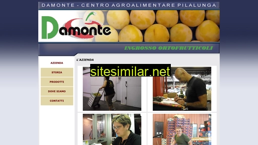 damontesnc.com alternative sites