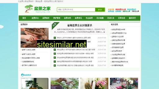 dapenjing.com alternative sites
