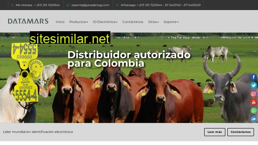 datamarscolombia.com alternative sites
