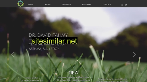 davidfahmy.com alternative sites