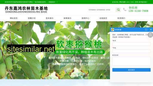 ddjiahong.com alternative sites