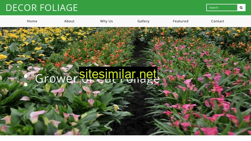 decorfoliage.com alternative sites