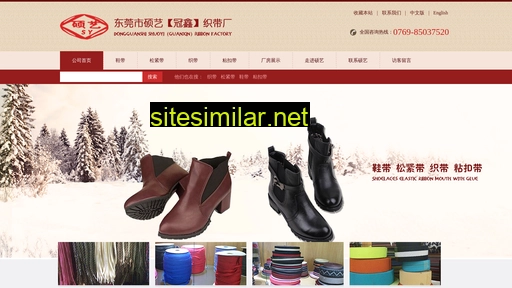 dgshuoyi.com alternative sites