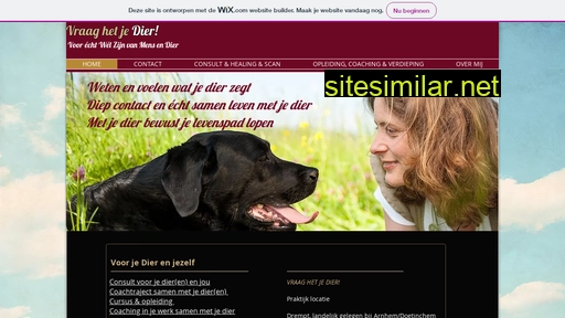 dierentolk.wixsite.com alternative sites