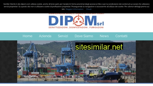 dipom.com alternative sites