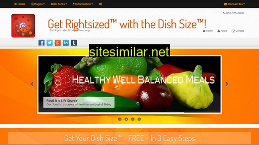 dishsize.com alternative sites