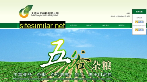 dlzhonghe.com alternative sites