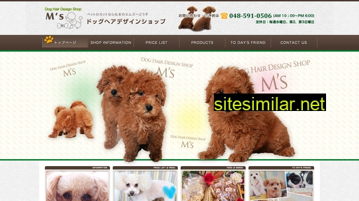 dog-design-ms.com alternative sites