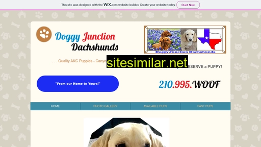 Doggyjunction similar sites