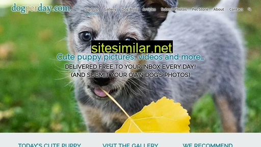 dogperday.com alternative sites