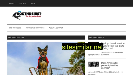 dogthusiast.com alternative sites