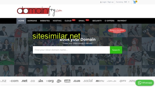domainfry.com alternative sites