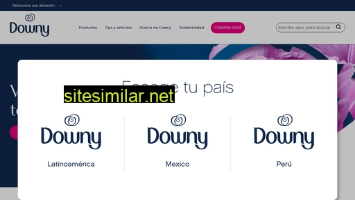 downy-la.com alternative sites