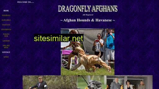 dragonflyafghans.com alternative sites