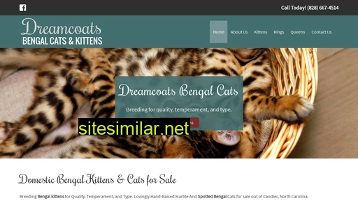 dreamcoatsbengals.com alternative sites