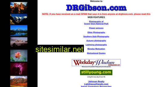 drgibson.com alternative sites