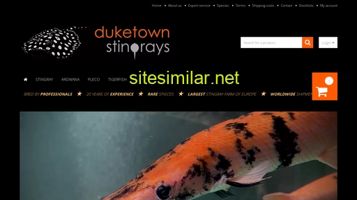 duketownstingrays.com alternative sites