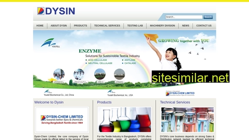 dysin.com alternative sites