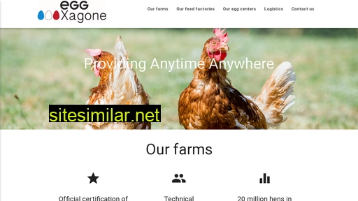 eggxagone.com alternative sites