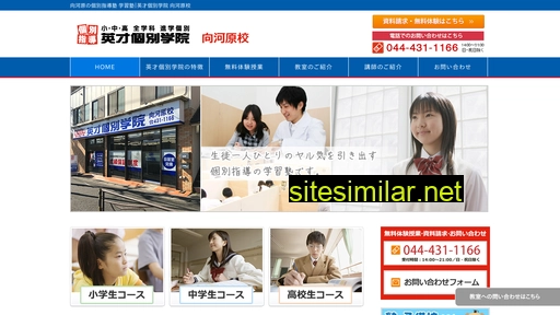 eisai-mukaigawara.com alternative sites