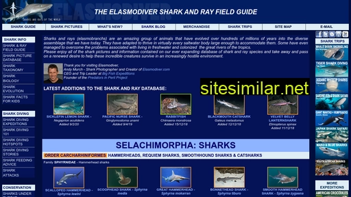 elasmodiver.com alternative sites