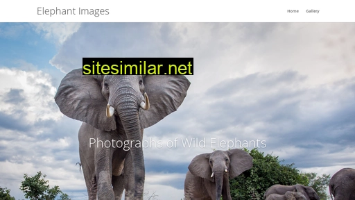 elephant-images.com alternative sites