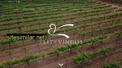 elitevinhos.com alternative sites