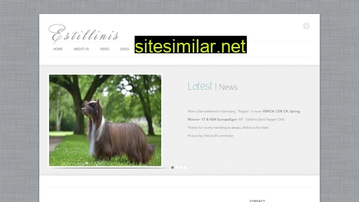 estillinis.com alternative sites