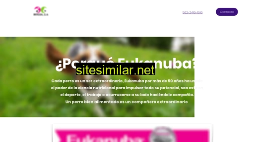 eukanuba-gt.com alternative sites