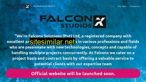 falconxsolutions.com alternative sites