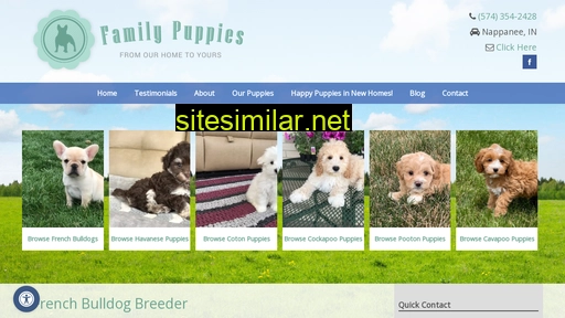 family-puppies.com alternative sites