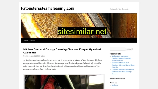 fatbusterssteamcleaning.com alternative sites