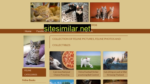 felinepictures.com alternative sites