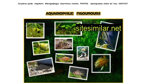 figounours.com alternative sites