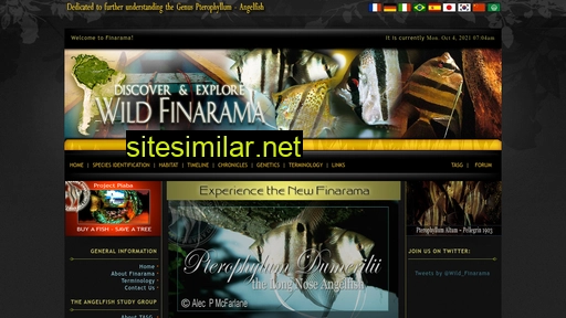 finarama.com alternative sites