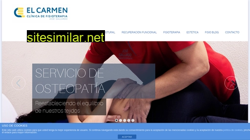 fisioterapiaelcarmen.com alternative sites