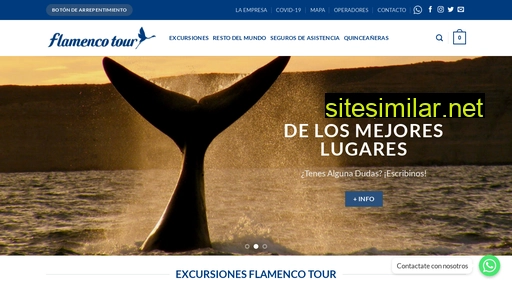 flamencotour.com alternative sites