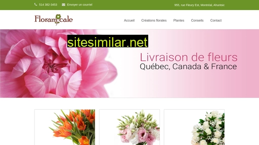 fleuristefloramicale.com alternative sites