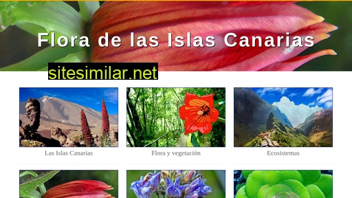 floracanaria.com alternative sites