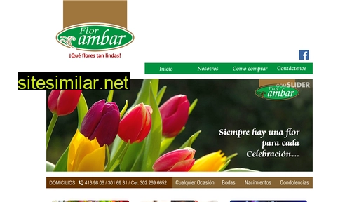 floristeriambar.com alternative sites
