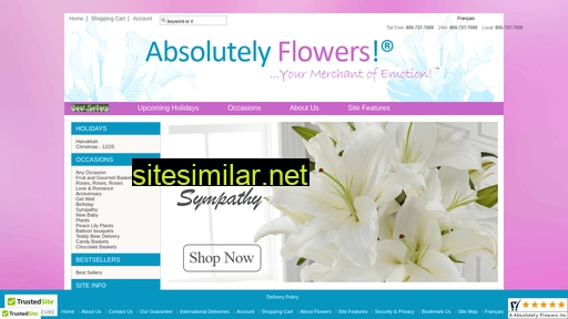 florist-absolutelyflowers.com alternative sites