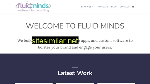 fluidmindsconsulting.com alternative sites