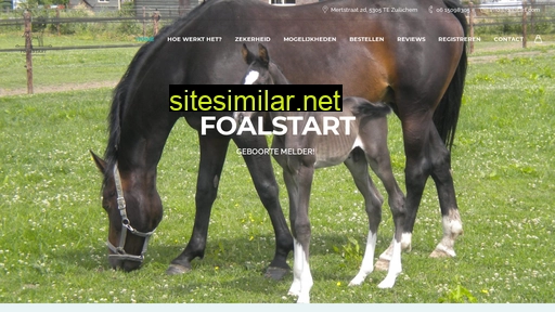 foalstart.com alternative sites