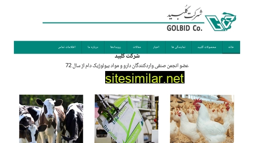 golbid.com alternative sites